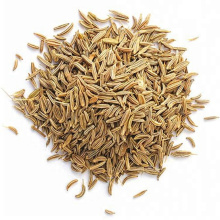 Top Quality 100% Natural Spice Cumin  Seeds With Best Price